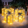 Golden Gleam Gift Box Set - BC ID: 489