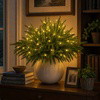 Enchanted Evergreen Pine - BC ID: 1004