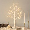 Enchanted Birch Tree - BC ID: 282