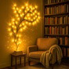 Enchanted Willow Vine - BC ID: 155