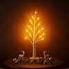 Enchanted Birch Tree - BC ID: 282
