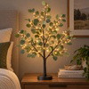 Enchanted Eucalyptus Tree - BC ID: 1079