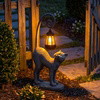 Whisker Wonder Cat - BC ID: 452