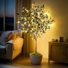 Olive Oasis Tree - BC ID: 592