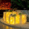 Golden Gleam Gift Box Set - BC ID: 489