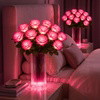 Blissful Blooming Roses
