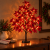 Radiant Ruby Maple Tree - BC ID: 1107