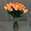 Radiant Romantic Tulip Light - BC ID: 936