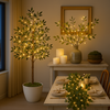 Olive Oasis Tree - BC ID: 592