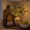 Enchanted Evergreen Olive Branch - BC ID: 1092