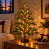 Radiant Ruby Maple Tree - BC ID: 1107