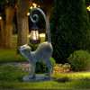 Whisker Wonder Cat - BC ID: 452