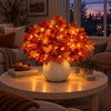 Enchanted Autumn Maple