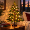 Radiant Ruby Maple Tree - BC ID: 1107