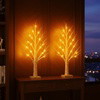 Enchanted Birch Tree - BC ID: 282