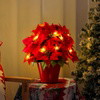 Radiant Ruby Poinsettia - BC ID: 497