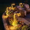 Enchanted Watering Can - BC ID: 933