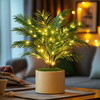 Palm Paradise Lamp© - BC ID: 717