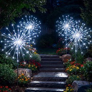 Stellar Starburst Light