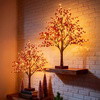 Red Berry Bloom Tree