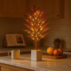 Solar Flame Light