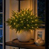 Enchanted Evergreen Pine - BC ID: 1037