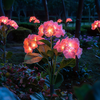 Fairy Hydrangea Lights - BC ID: 347