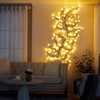 Enchanted Willow Vine - BC ID: 155