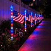 Freedom Flag Light - BC ID: 961