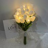 Radiant Romantic Tulip Light - BC ID: 1026