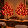 Radiant Ruby Maple Tree - BC ID: 1107