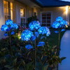 Fairy Hydrangea Lights - BC ID: 347