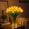 Radiant Romantic Tulip Light - BC ID: 437
