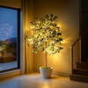 Olive Oasis Tree - BC ID: 592