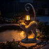Whisker Wonder Cat - BC ID: 452