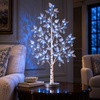 Winter Wishing Tree - BC ID: 1103