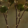 Fairy Light Olive Vine - BC ID: 960