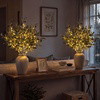 Enchanted Evergreen Olive Branch - BC ID: 1018