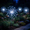 Stellar Starburst Light