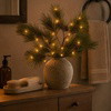 Fairy Forest Pine - BC ID: 1050