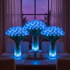 Radiant Romantic Tulip Light - BC ID: 1015