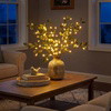 Fairy Light Olive Branch - BC ID: 255