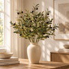 Enchanted Evergreen Olive Branch - BC ID: 1092