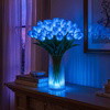 Radiant Romantic Tulip Light - BC ID: 1026