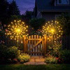 Starlit Starburst Light - BC ID: 824