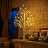 Enchanted Birch Tree - BC ID: 282