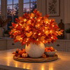 Enchanted Autumn Maple