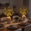 Enchanted Evergreen Olive Branch - BC ID: 1092