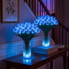 Radiant Romantic Tulip Light - BC ID: 437