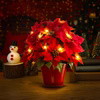 Radiant Ruby Poinsettia - BC ID: 497